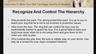 Shih Tzu Training: Reversing The Role of a Demanding Dog