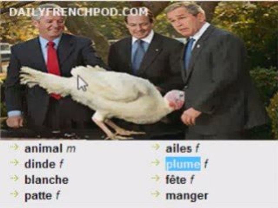 Learn French