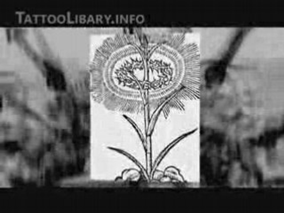 Occult Tattoo