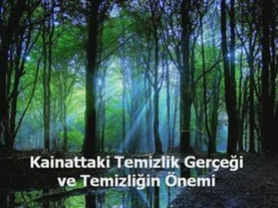 Temizlikveonemi