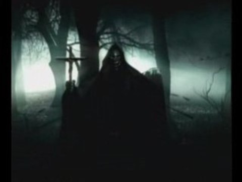 97490 falo p3 kreol staya chien denis crew c pou mwin ke mi