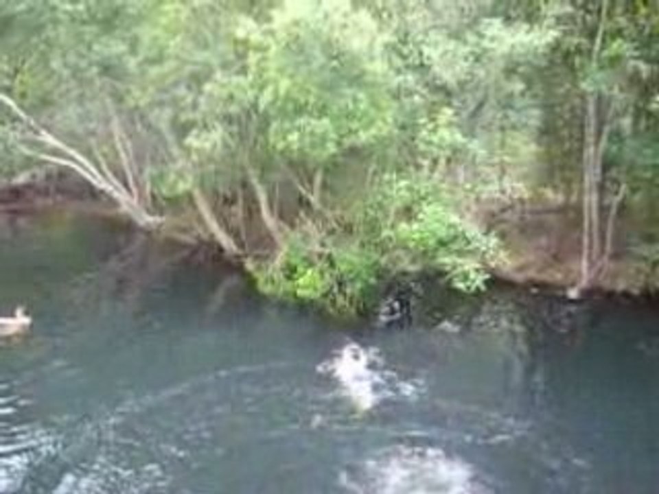 ptits concours entre amis