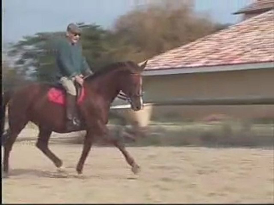 ALLONGEMENT au trot