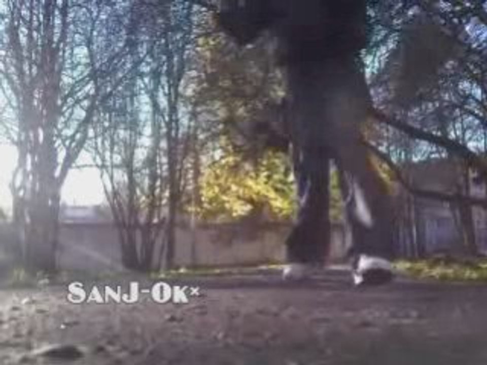 C-Walk*Sanj-Ok*~