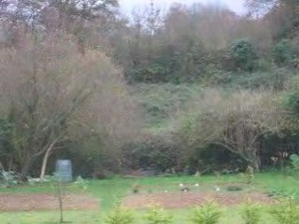 DM4 vol 360 et atterrisage