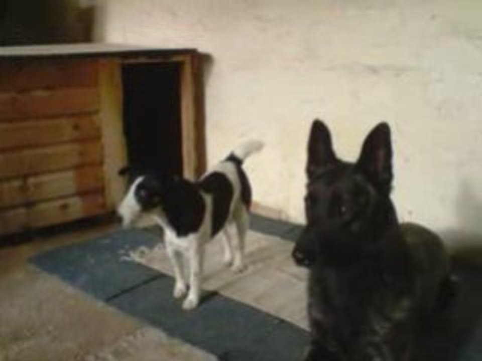 cash et mimi