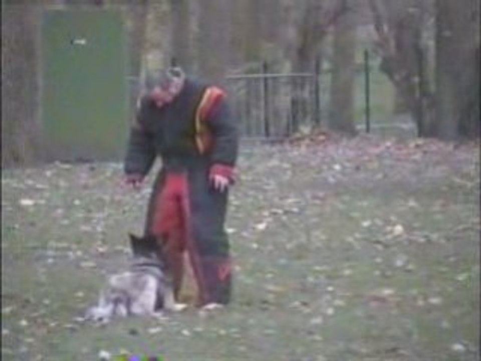 Le 13 Nov à Coudekerque