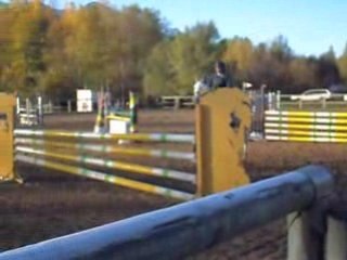 C.S.O AMELIE LES BAINS