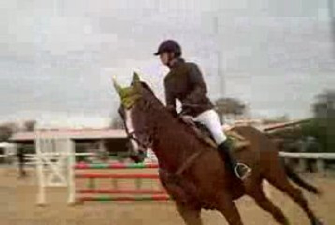 CSO club2 vitesse haras de lorane