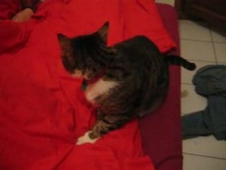 -LEeLoO- [15.04.07] [2]