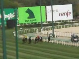 2008 (442) Premio MMAMRM (H) (RUBENS)