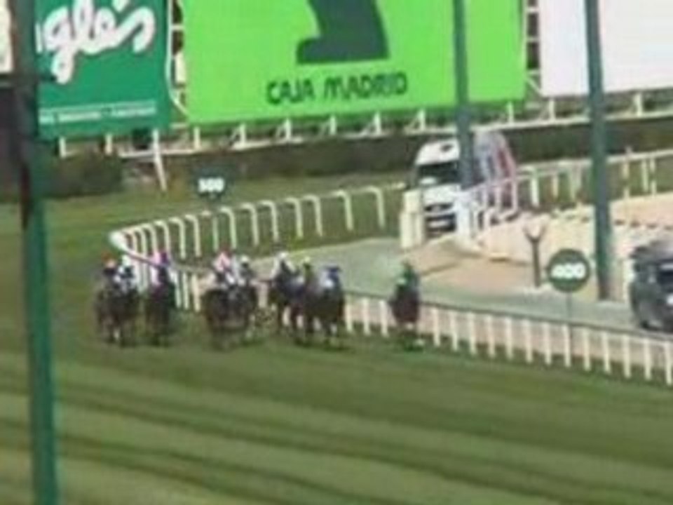 2008 (443) PREMIO VEIL PICARD (CATEGORIA C) (YOU OR NO ONE)