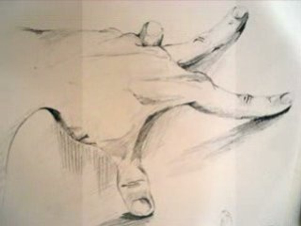 Dessins