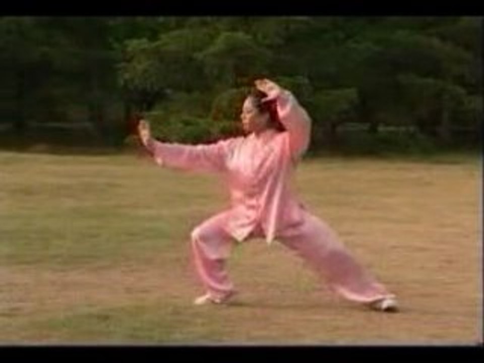 Taiji Style Yang : La Forme 16