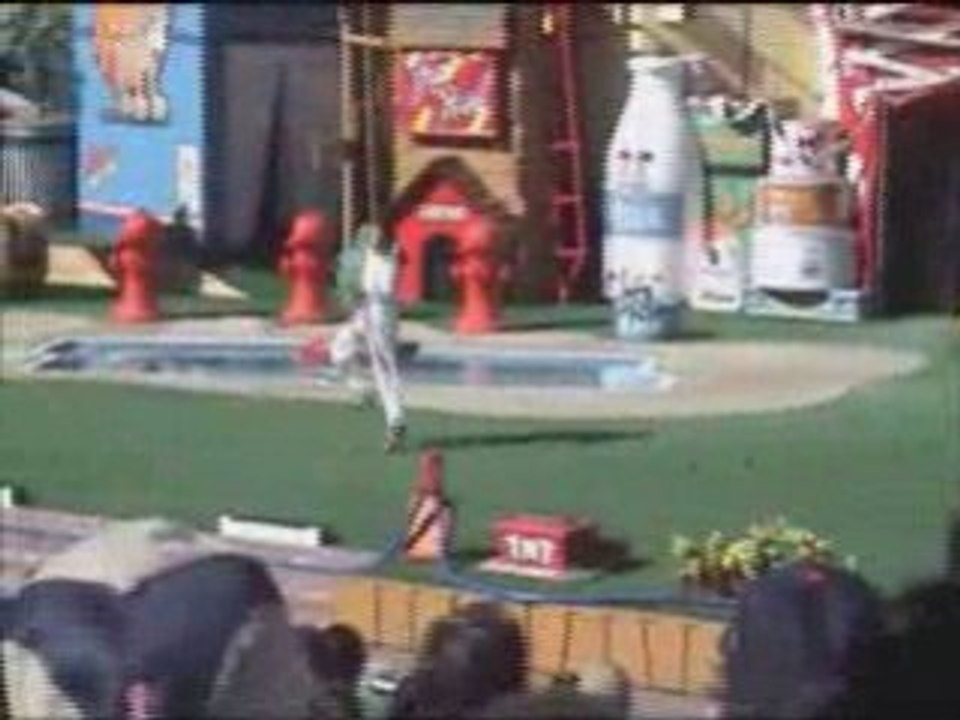 SeaWorld Pets Rule Show