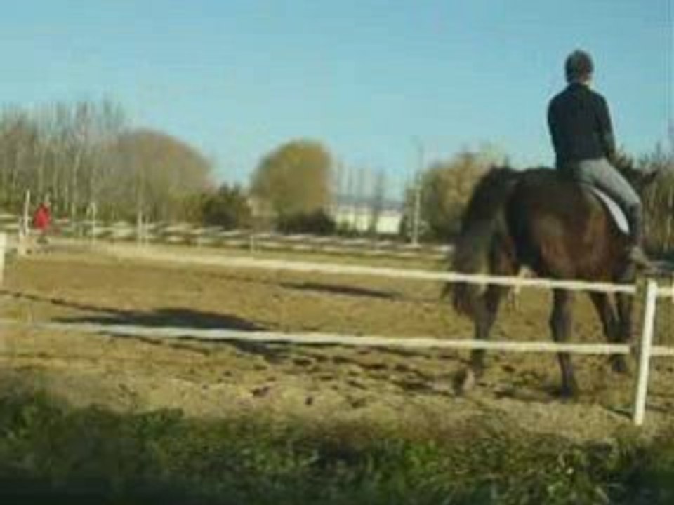 montage cours avec Leit