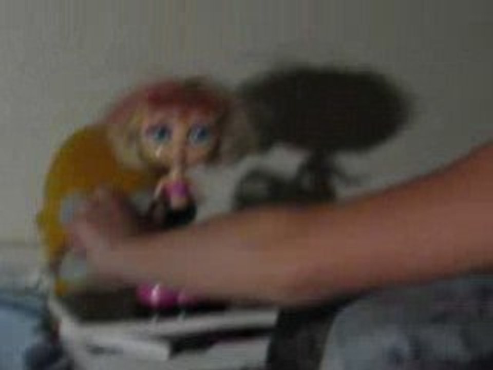 la poupée lool