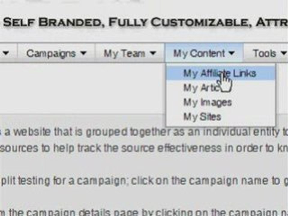 {MLM Lead System Pro} CaseStudy BackOffice (Funded Proposal)