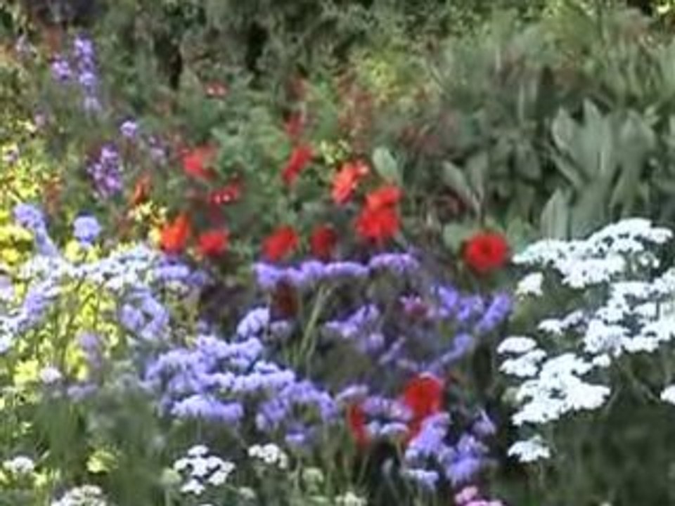 Irsko 2008 4.díl - Dublin, London