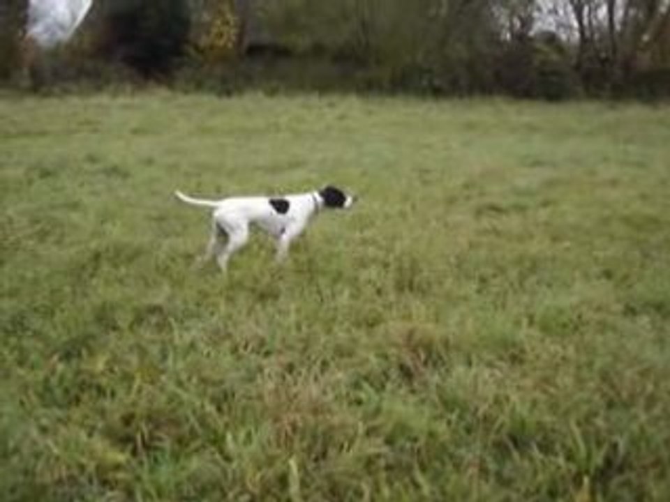 pointer de 14 mois au travail