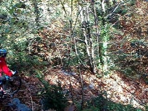 Sortie LPISTE à Caunes minervois 161108