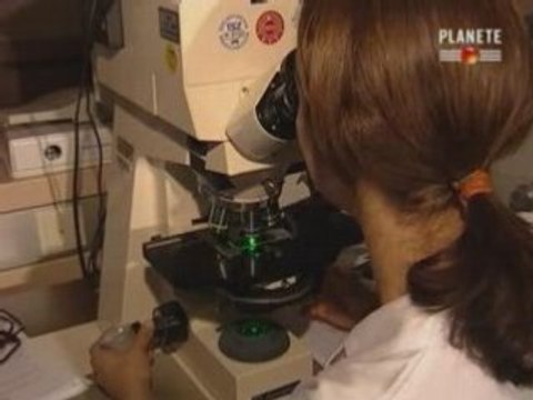 Portables (3sur4) en accusation