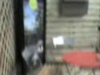 Salon Bricorama Nov 2008