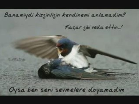 ibrahim tatlises Sozum yok artik