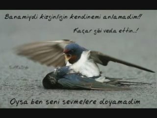 ibrahim tatlises        "Sozum yok artik"