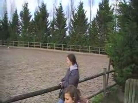 CSO chailly en bière 11 novembre 2008, 50cm, SANS FAUTE