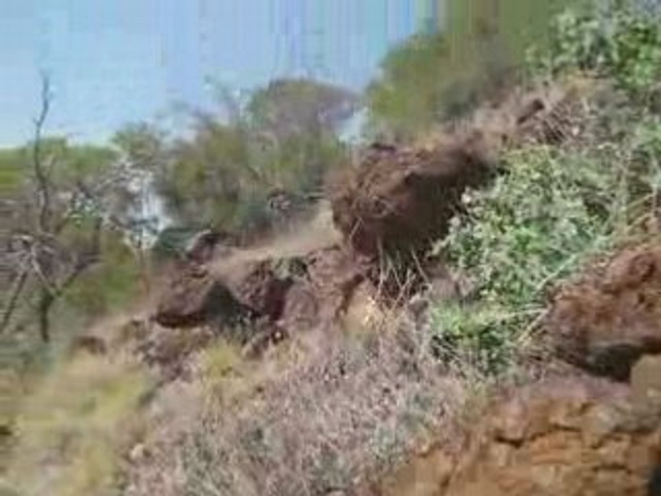 Cartographie, perdu dans le bush (2)