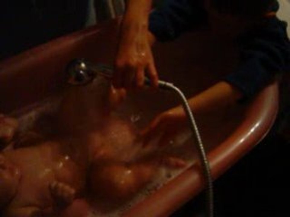 MOV03963