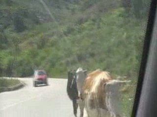 adekar route de  bejaia