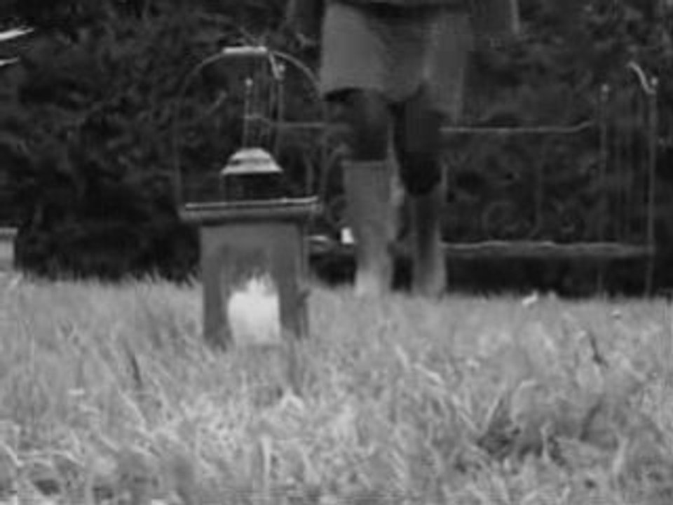 Lost ! Coldplay - Viva la Vida