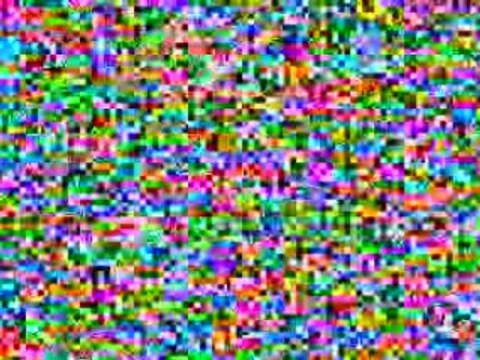 Iguanas. Video Galapagos Islands - Part 1