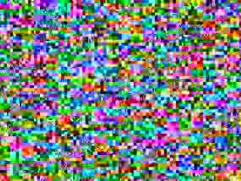 Iguanas. Video Galapagos Islands - Part 3