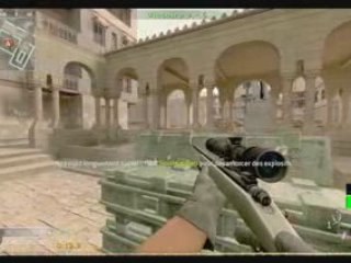 CoD4 bug shot