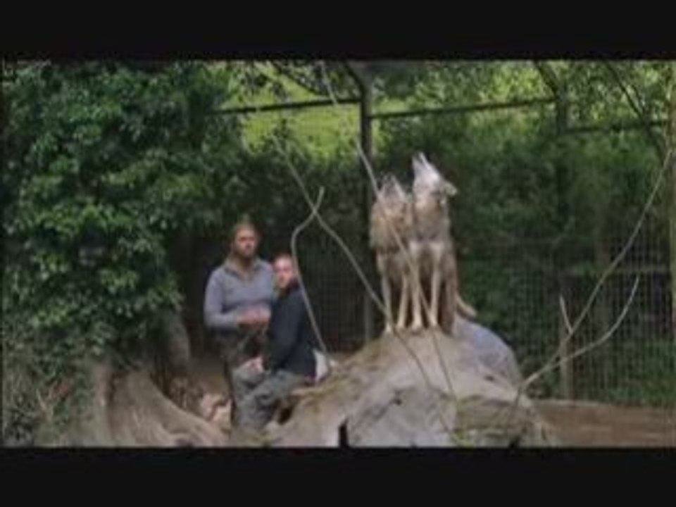 Living With The Wolfman - Howling Rock