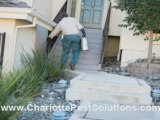 Charlotte Pest Control and Exterminator - Be Pest Free