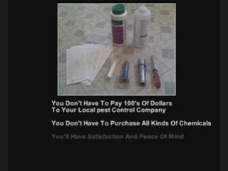 Tools To Get Rid Of Cockroaches