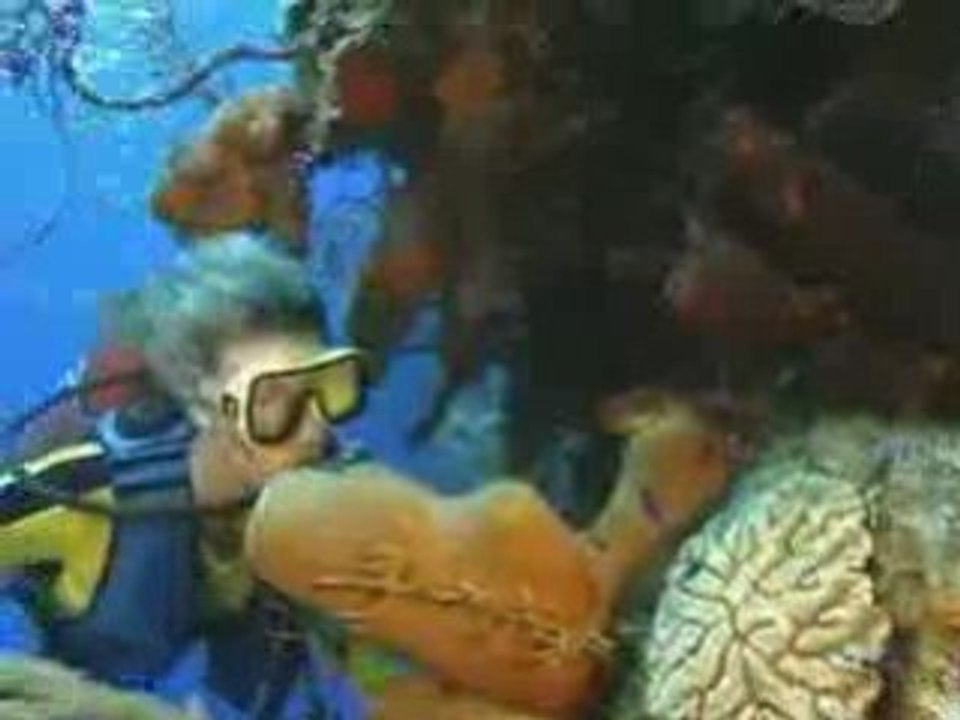 Caye Winds, a Belize Resort located on Ambergris Caye