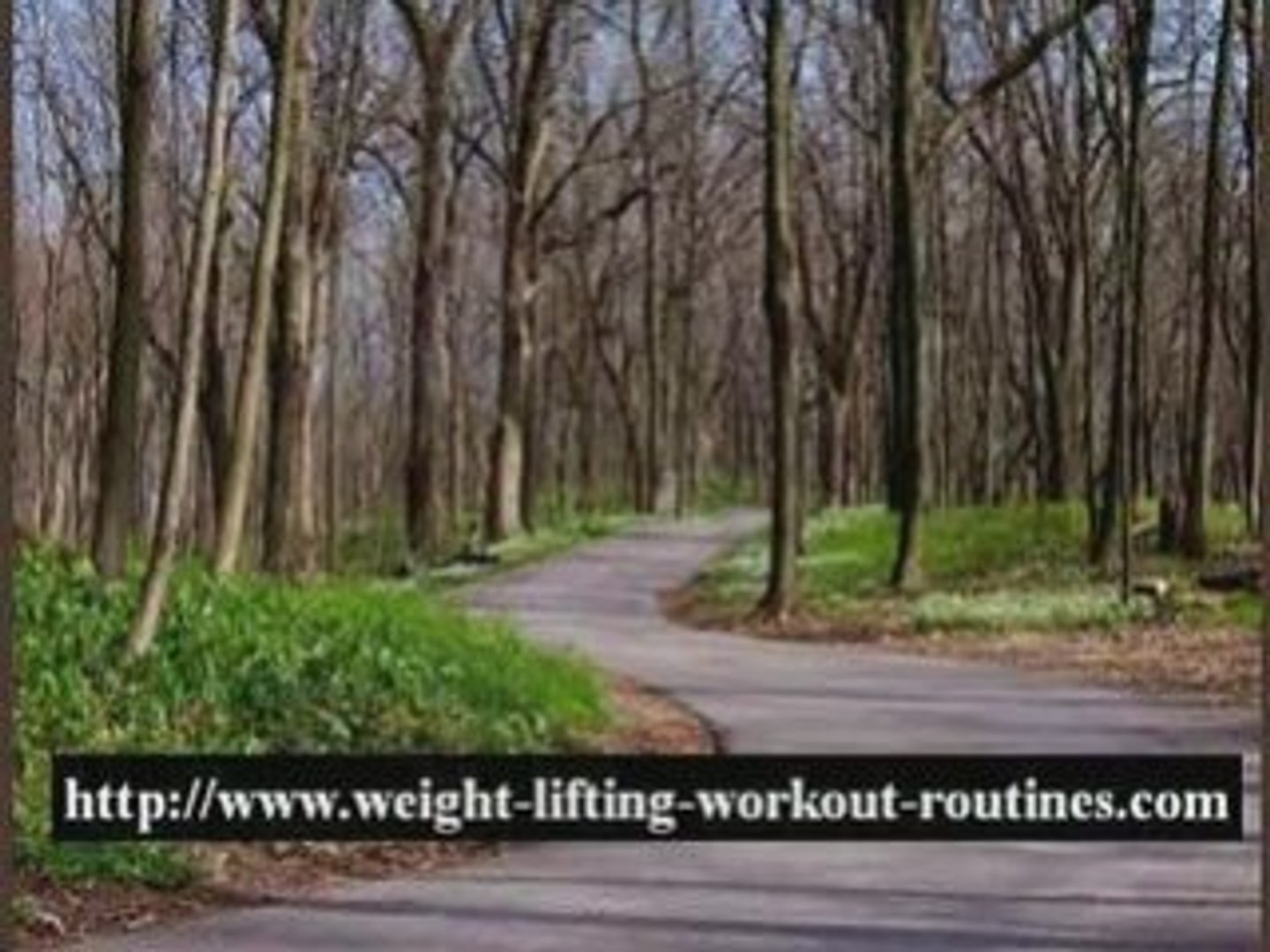 ⁣workout plan