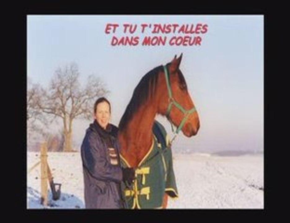 A la mémoire de Babou