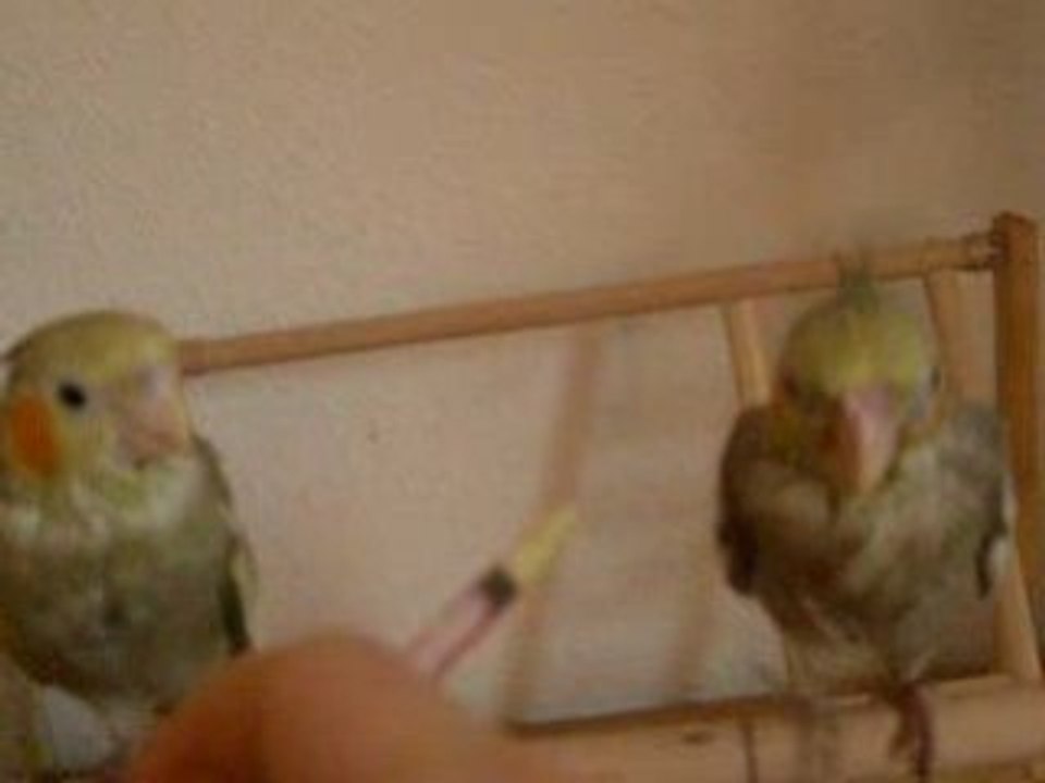 Heure de manger