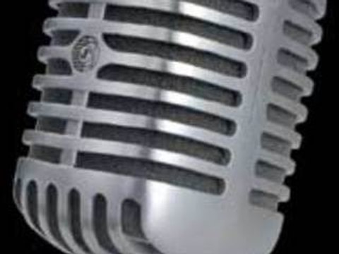 Micro Shure 55SHT2 (La Boite Noire)