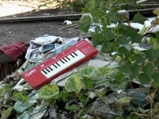 Béatrice Ardisson / "Trouble So Hard"