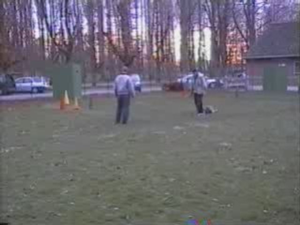 SansTitre_03