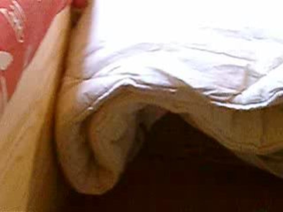 La souris