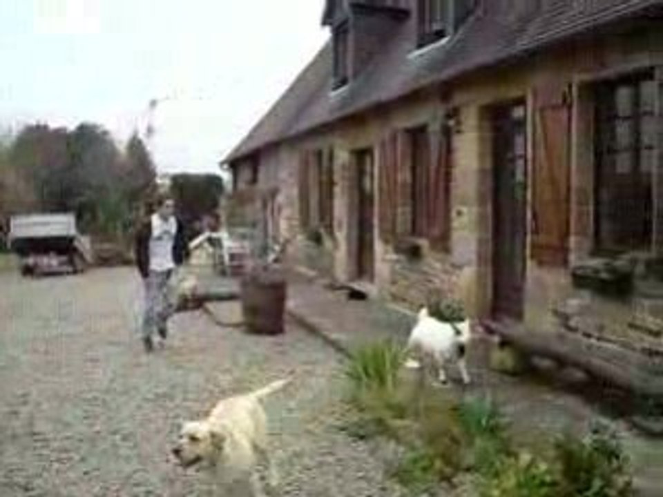 Ploum-ploum en forme