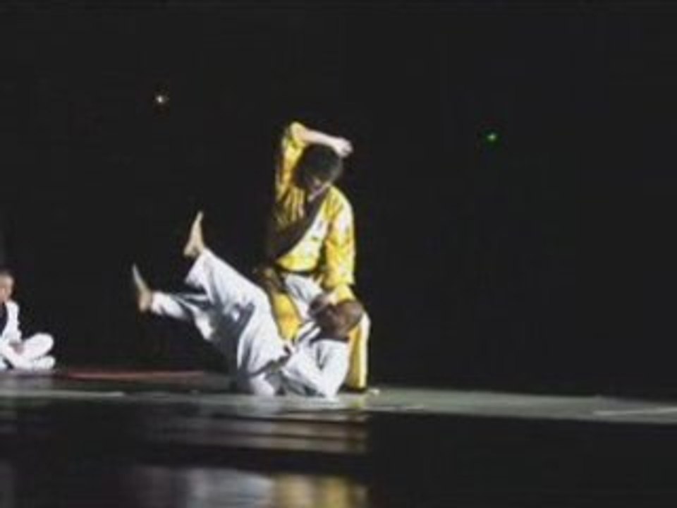 Clip vidéo de Taekwondo
